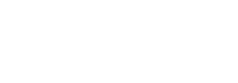 Guardy